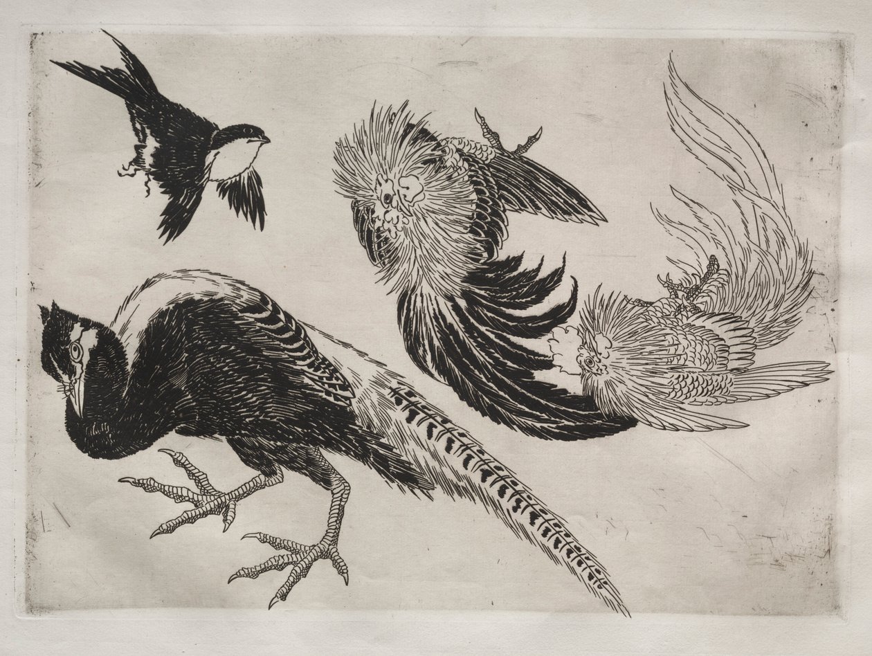 Servicio de cena Rousseau: Faisanes y pájaro n.° 18 de Felix Bracquemond