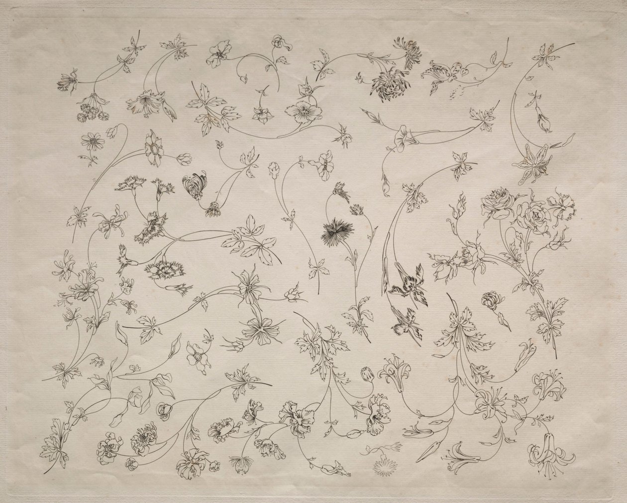 Diseños florales para platos y bordes (nº 14) de Felix Bracquemond