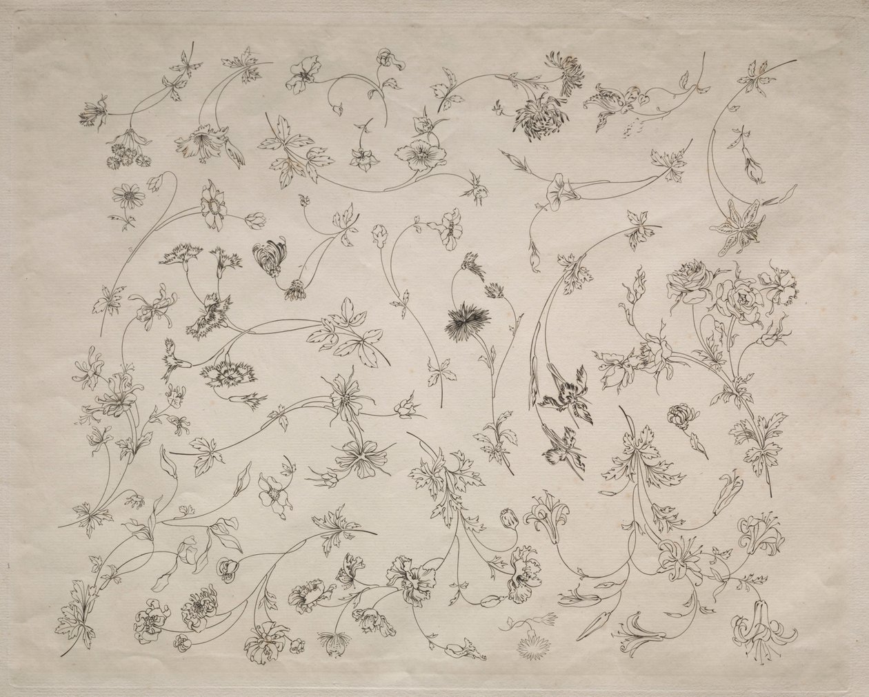 Diseños de flores para platos y bordes no. 14, 1872 de Felix Bracquemond