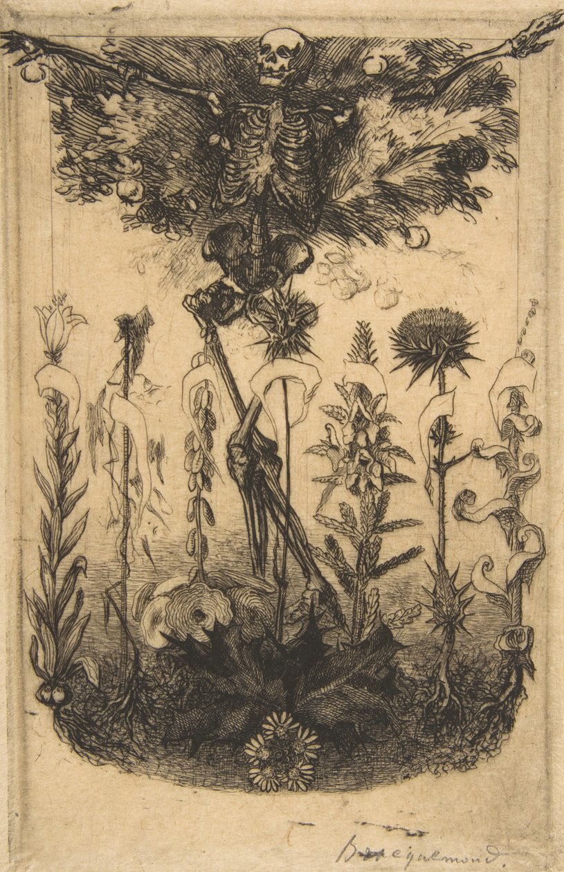 Frontispicio para Las Flores del Mal, 1857 de Felix Bracquemond