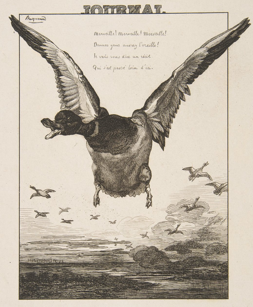 El pato, 1856 de Felix Bracquemond