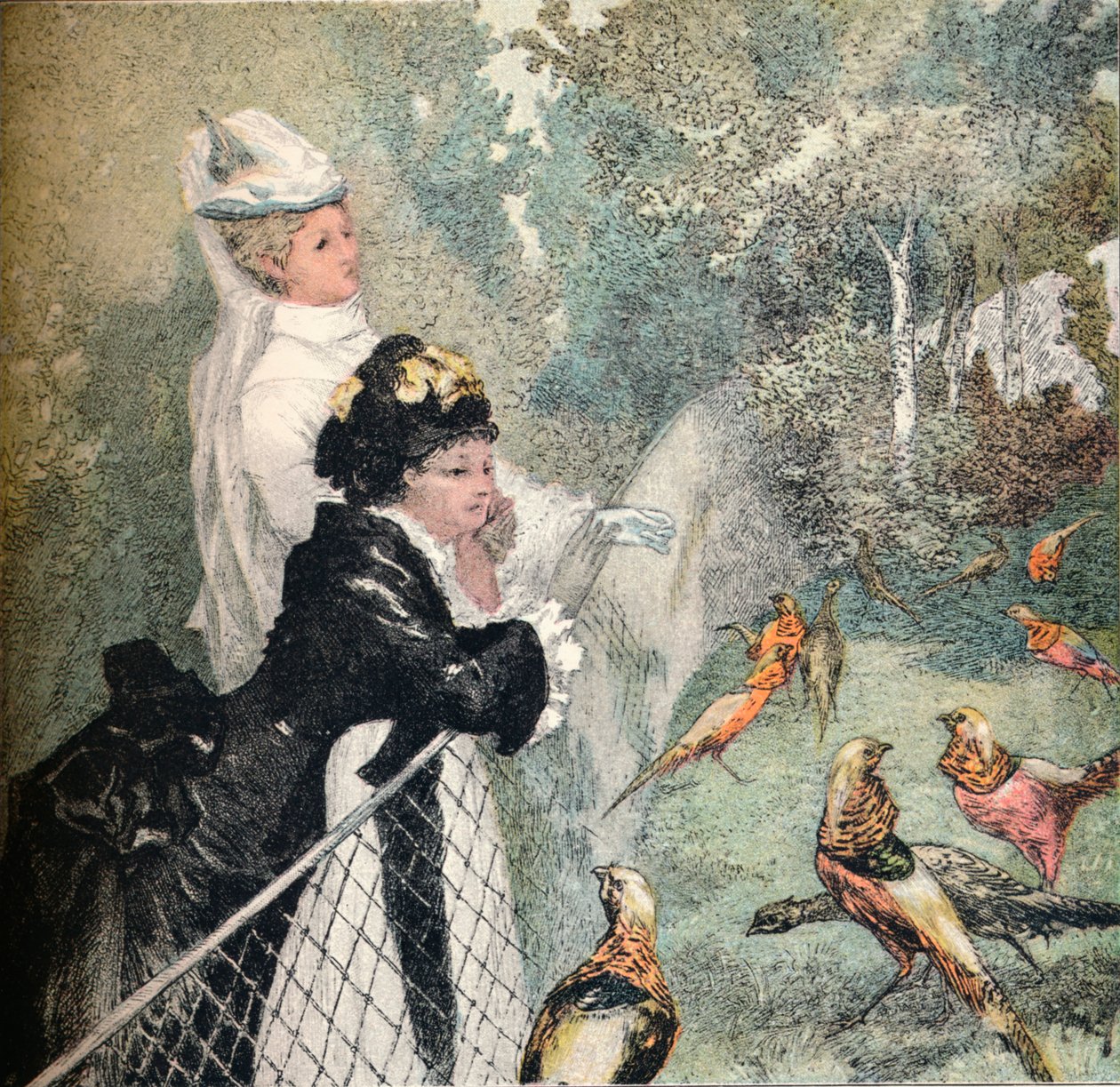 El Jardín de Aclimatación, c. 1895 de Felix Bracquemond