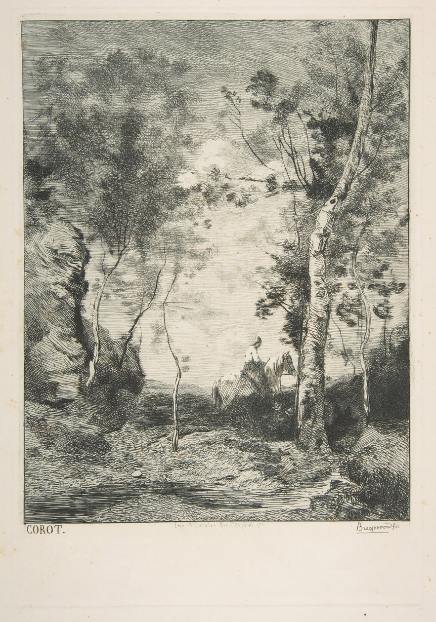 Le cheval blanc, 1858 de Felix Bracquemond
