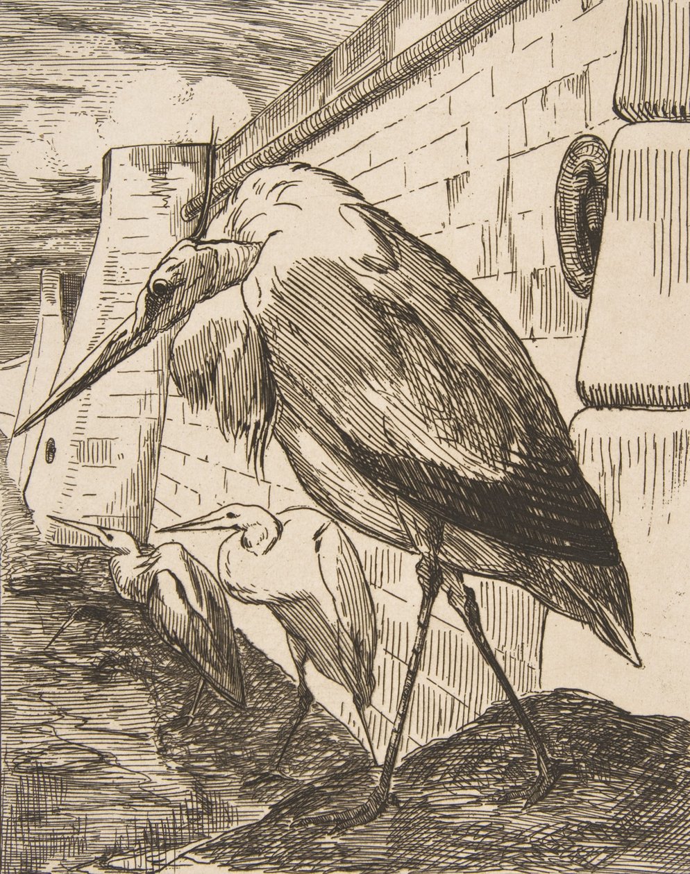 Las cigüeñas, 1870s de Felix Bracquemond