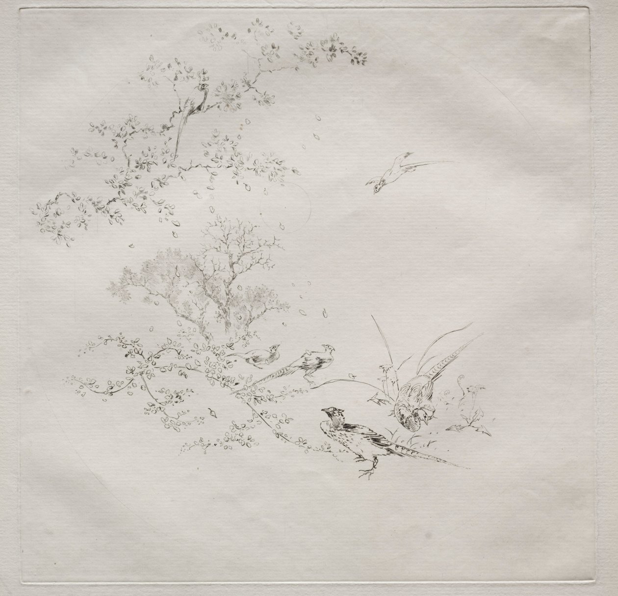 Servicio parisino Haviland: Niebla no. 1, 1875 de Felix Bracquemond