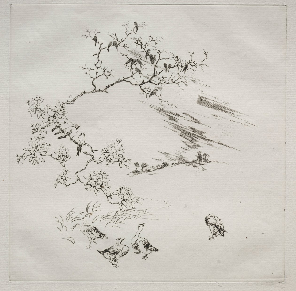 Servicio parisino Haviland: Noche no. 7, 1875 de Felix Bracquemond