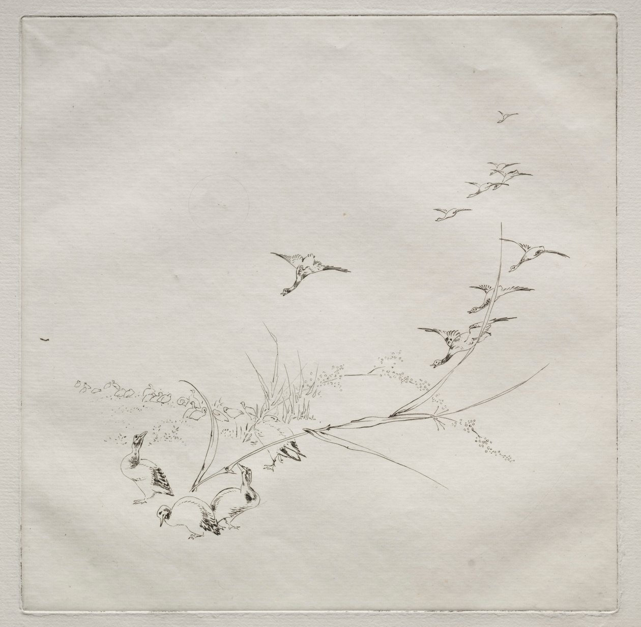 Servicio parisino Haviland: Derecho al sol no. 9, 1875 de Felix Bracquemond
