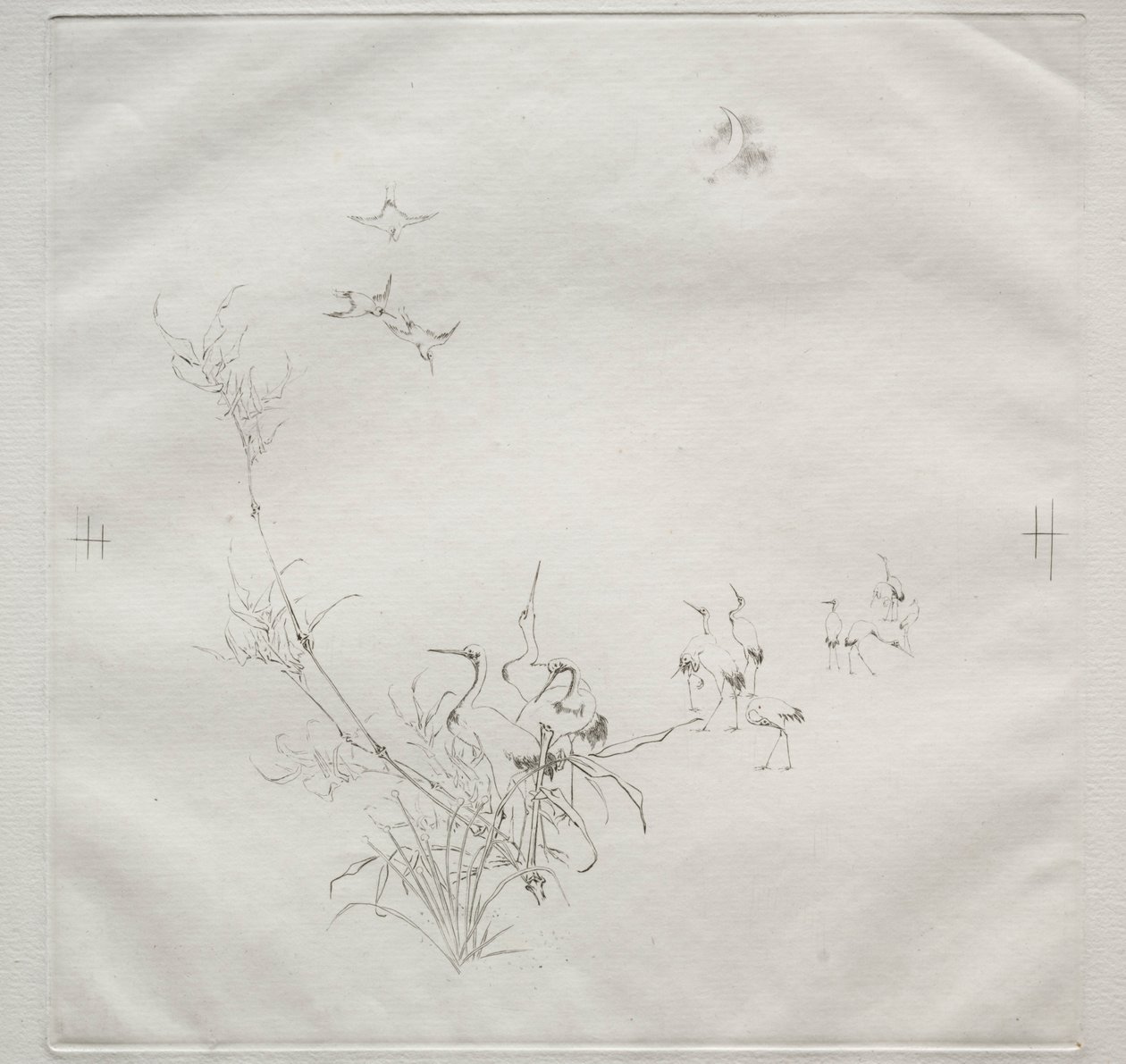Servicio parisino Haviland: La Luna n.º 5, 1875 de Felix Bracquemond