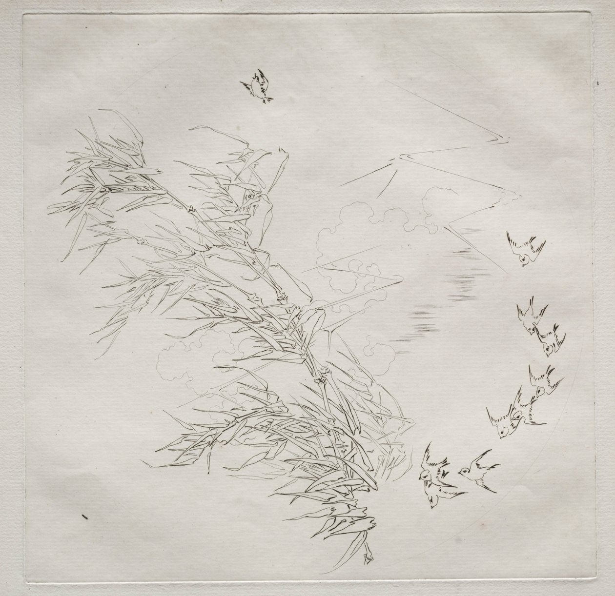 Servicio parisino Haviland: La tormenta no. 8, 1875 de Felix Bracquemond
