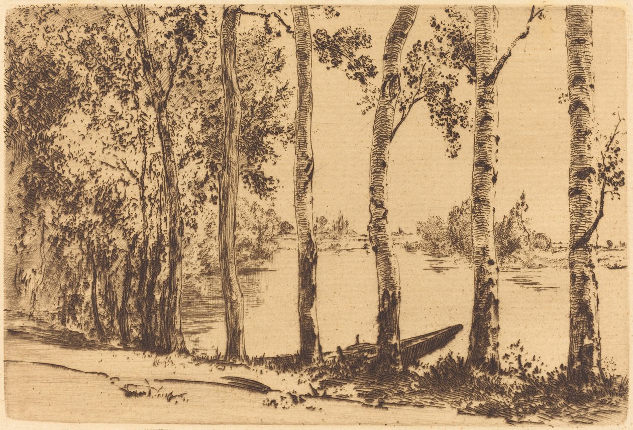 Álamos a lo largo del Sena de Felix Bracquemond