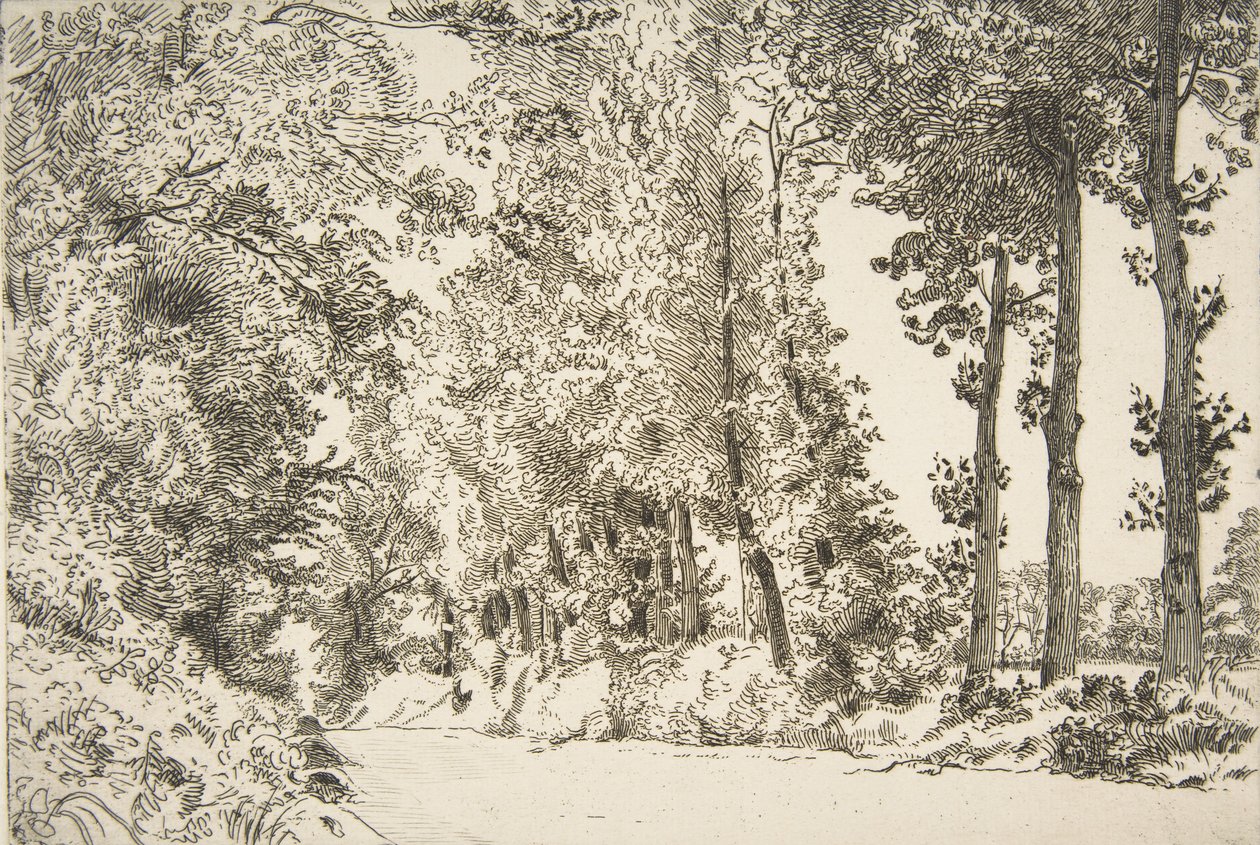 Rue des Bruyères, en Sèvres, 1868 de Felix Bracquemond