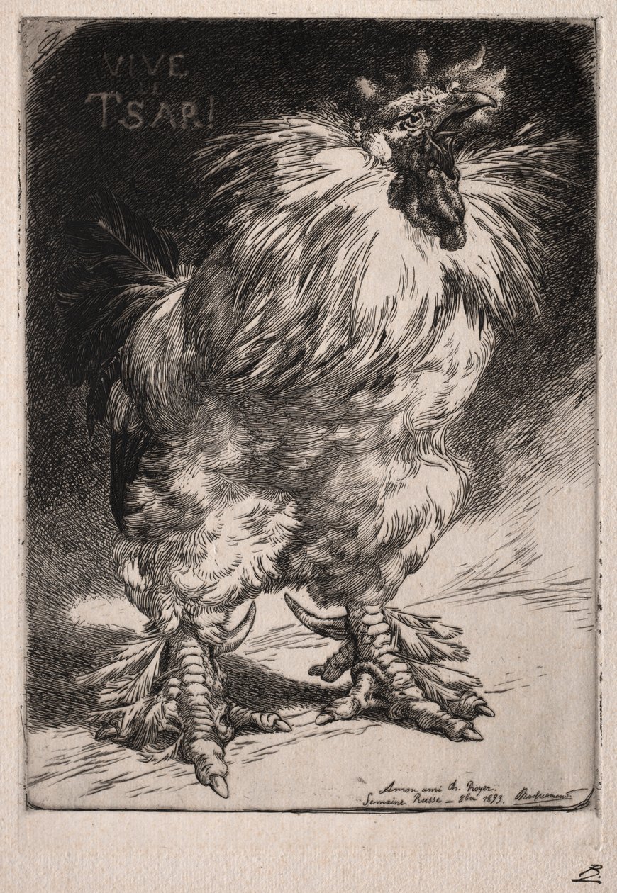 El gallo francés, 1893 de Felix Bracquemond