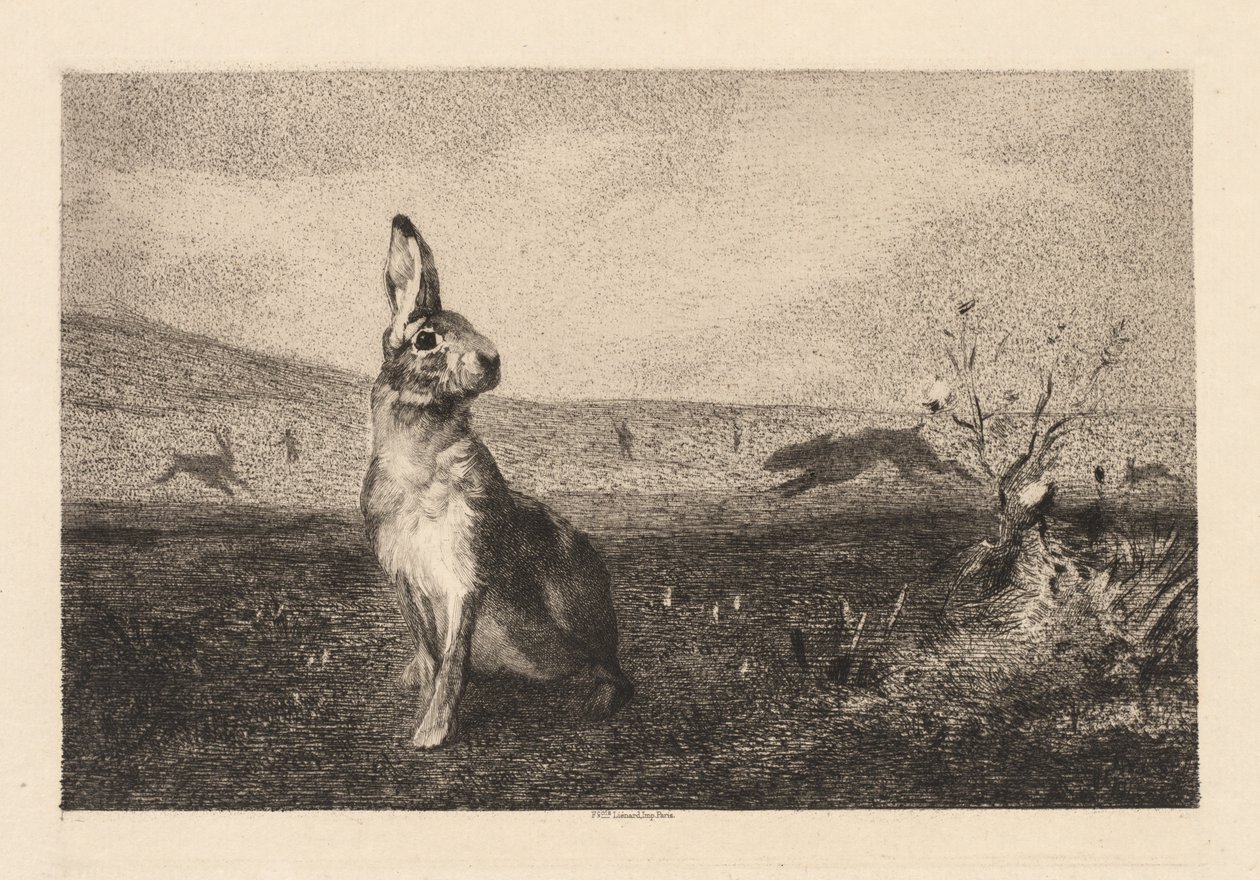 La liebre de Felix Bracquemond