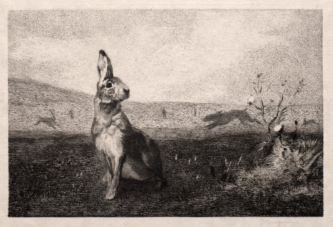 La liebre (después de A. de Balleroy) de Felix Bracquemond