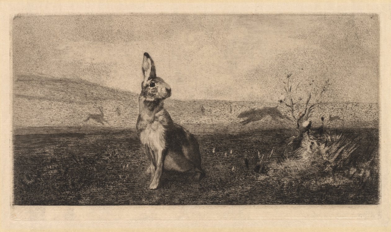 La liebre, 1865 de Felix Bracquemond