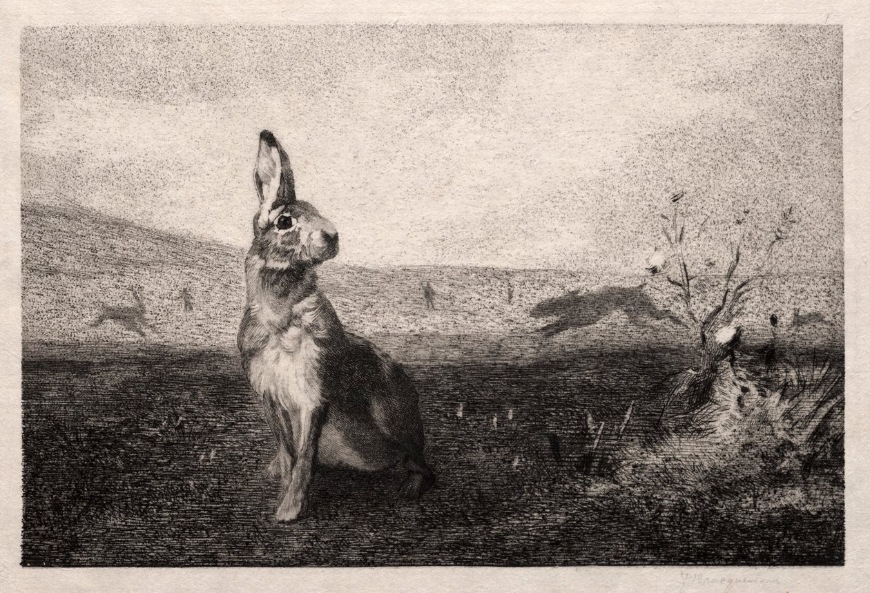 La liebre después de A. de Balleroy, 1865 de Felix Bracquemond