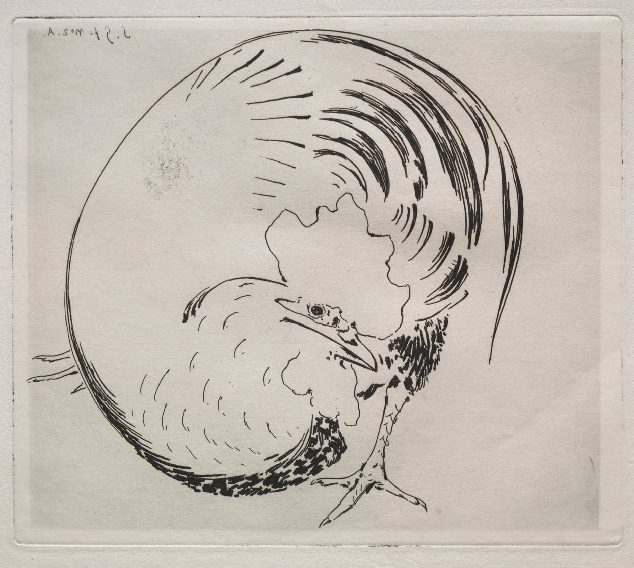 The High-Fired Service: Rooster de Felix Bracquemond