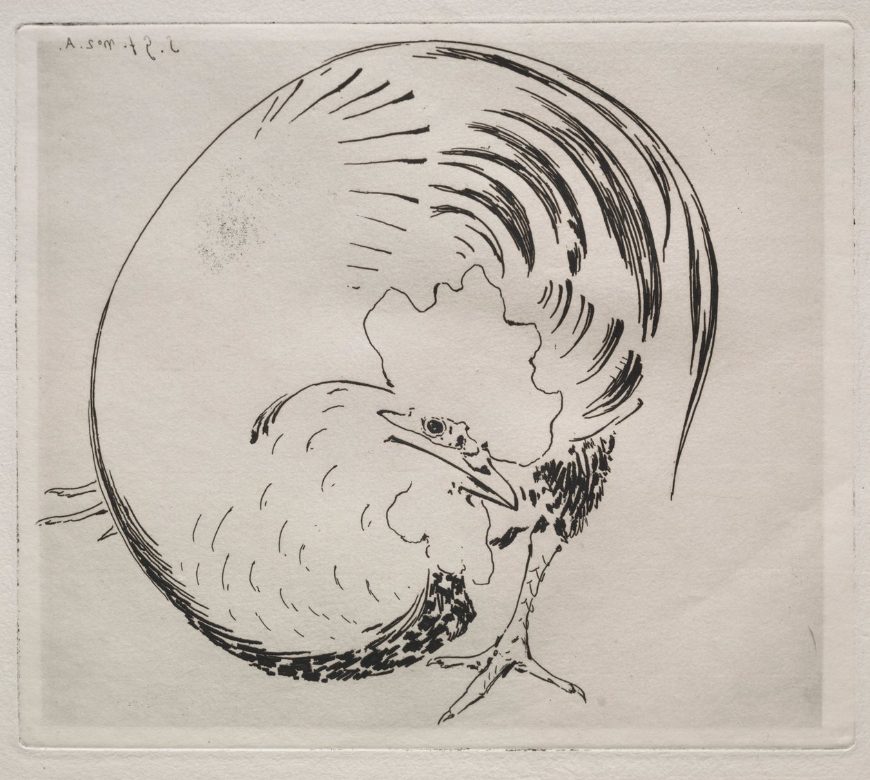 El servicio de alta cocción: Gallo, c. 1860 de Felix Bracquemond