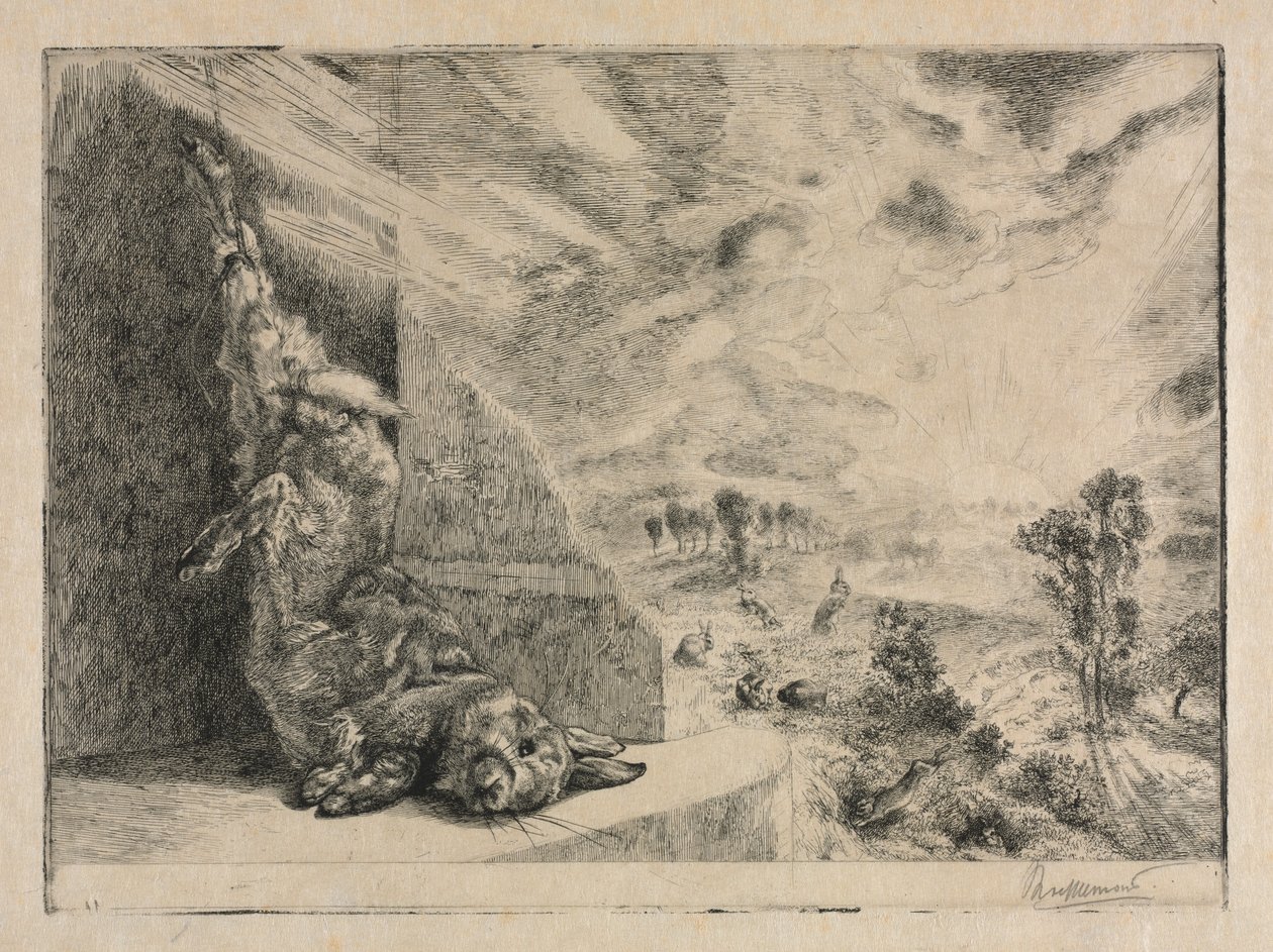 El Conejo Salvaje de Felix Bracquemond