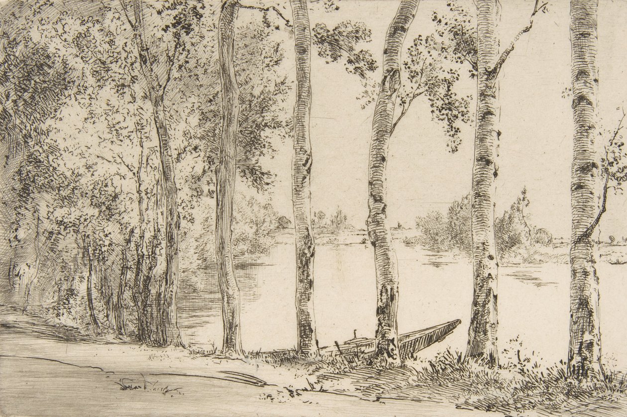 Trembles al borde del Sena, ca. 1884 de Felix Bracquemond