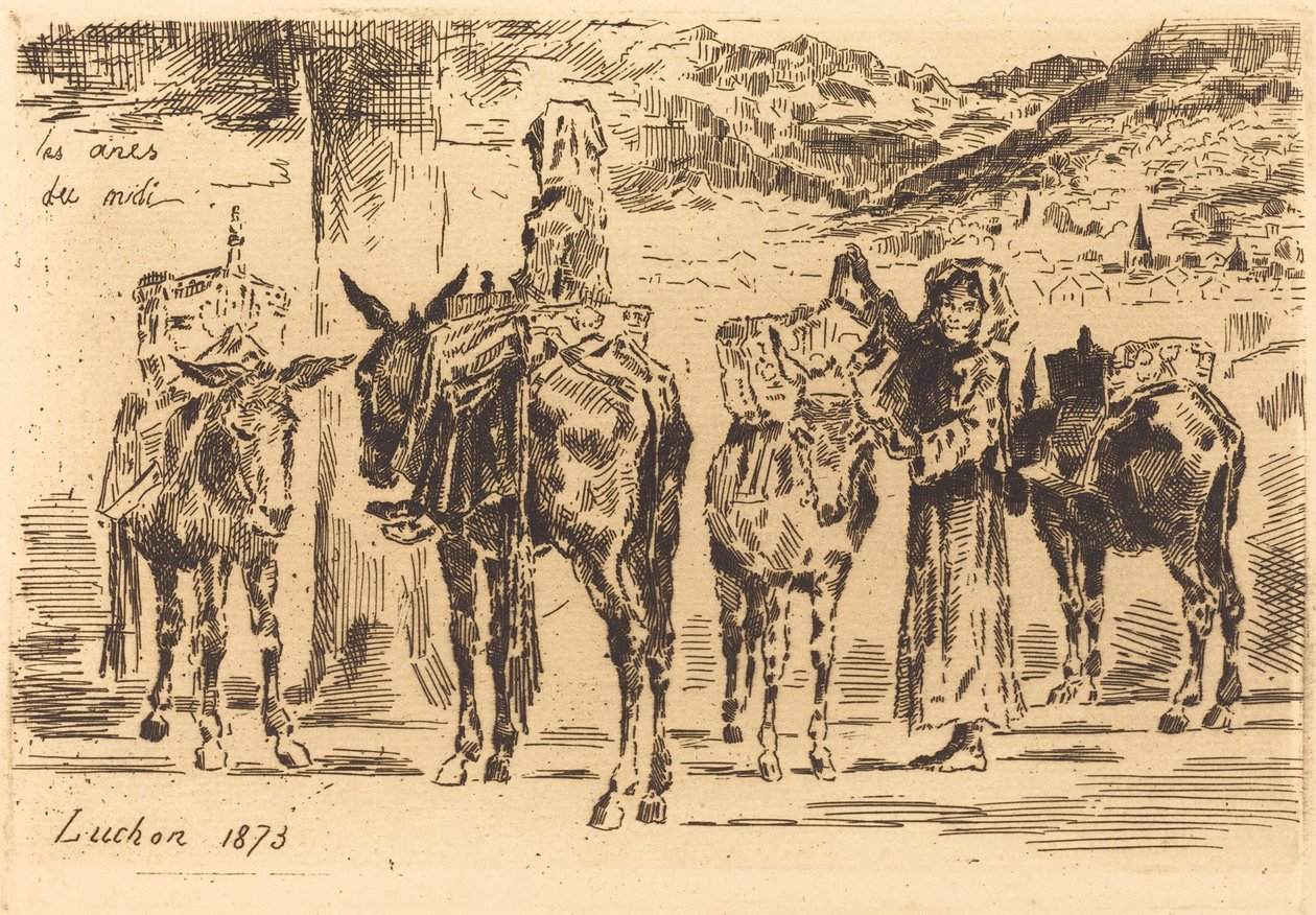 Hojas de Anes del Midi de Felix Hilaire Buhot