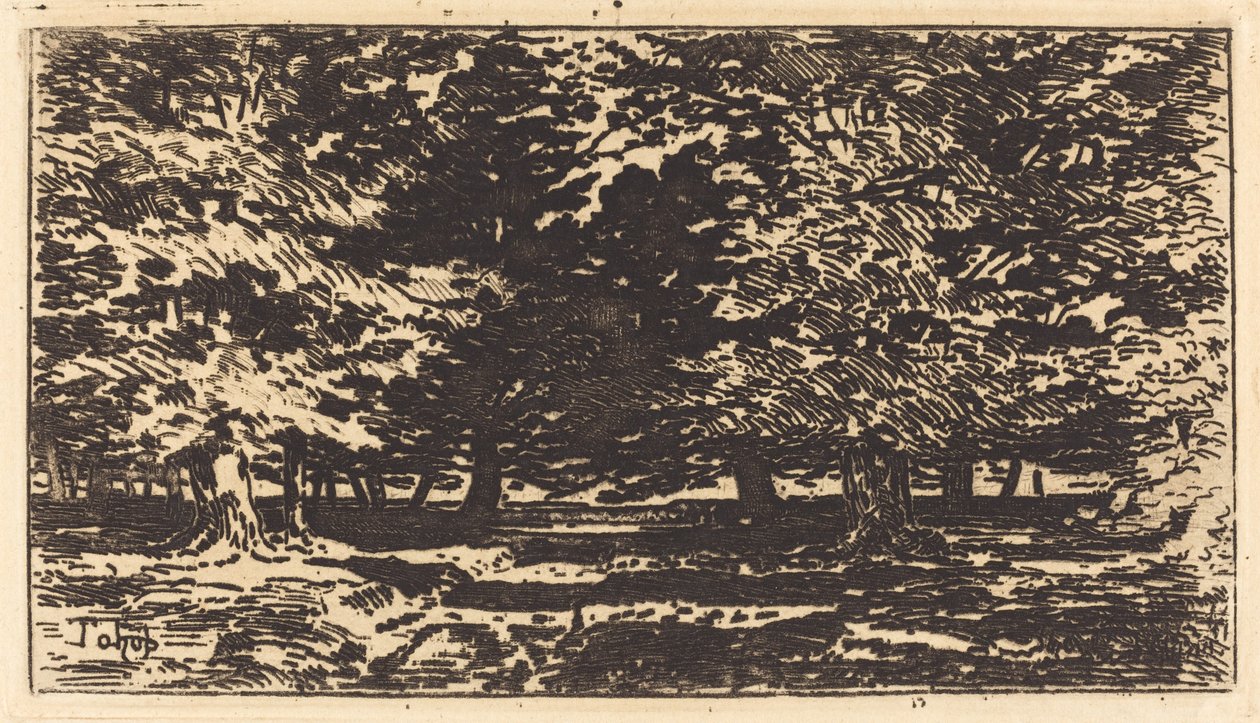 Bosque de Felix Hilaire Buhot