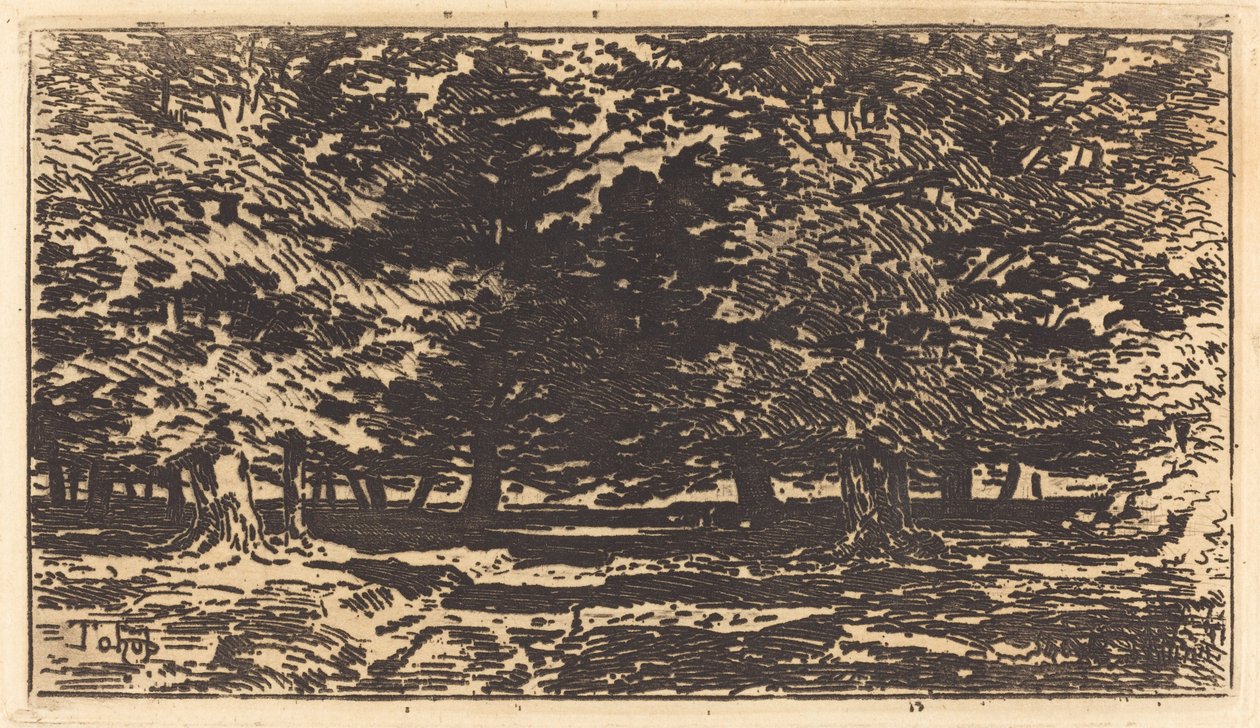 Bosque de Felix Hilaire Buhot