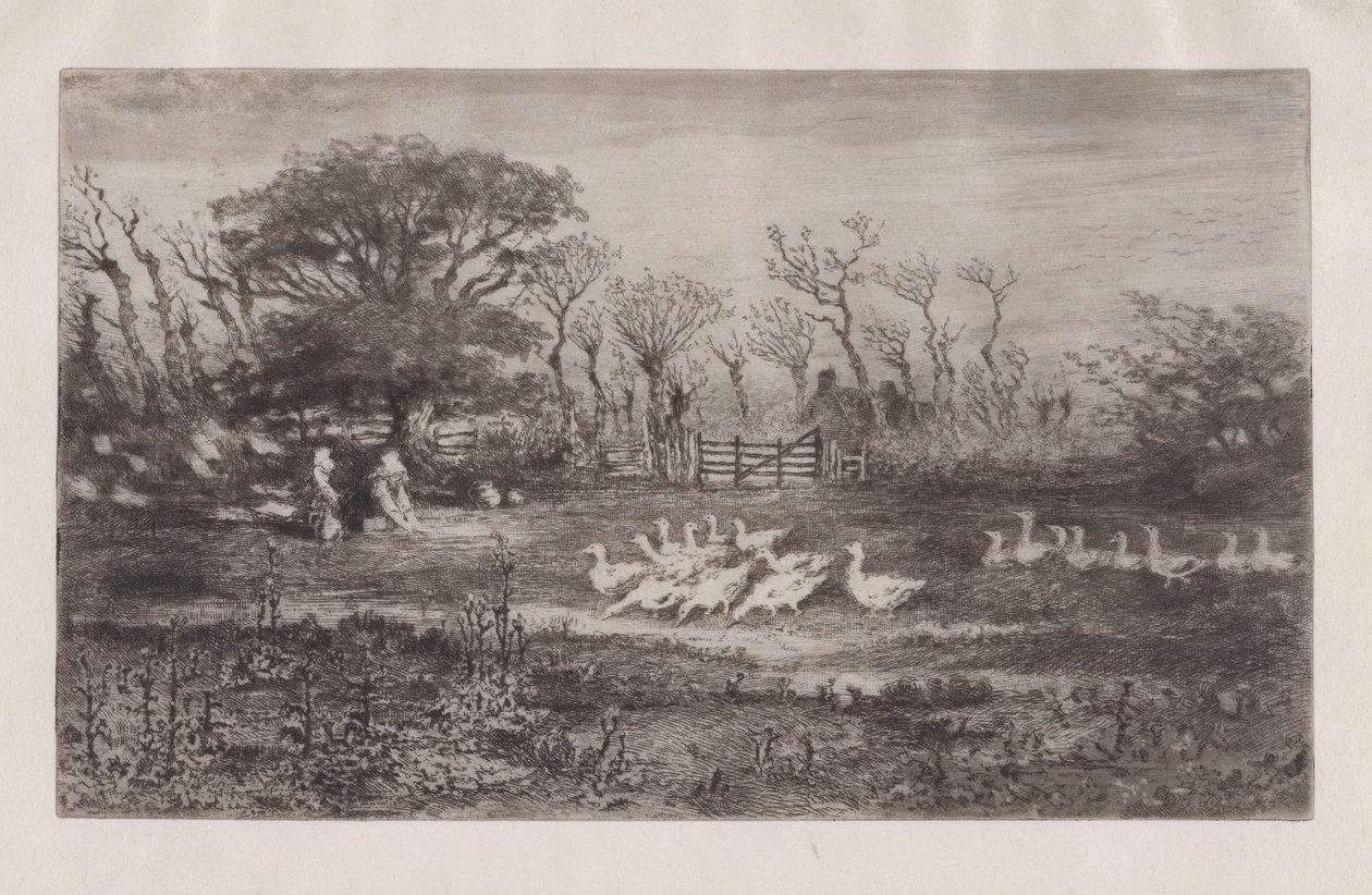 Gansos, 1860-98 de Felix Hilaire Buhot