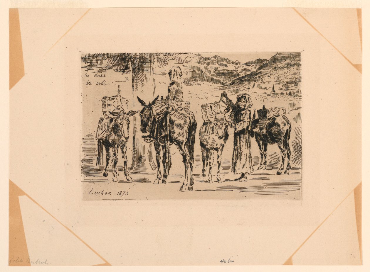 Los Burros del Mediodía de Felix Hilaire Buhot