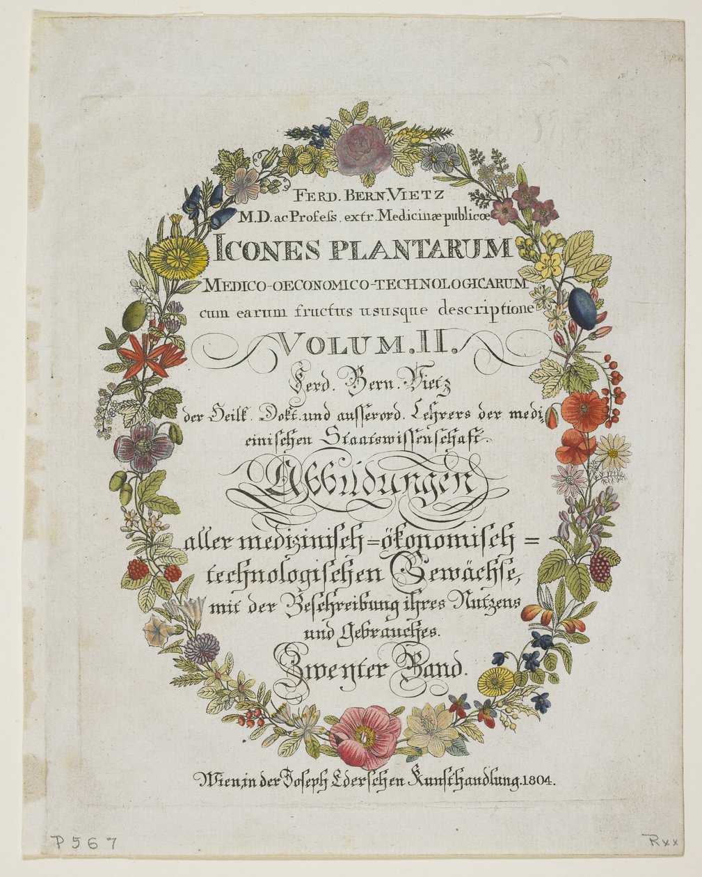 Frontispicio y página de título, Vol. II, de Icones Plantarum Medico-Oeconomico-Technologicarum cum Earum Fructus ususque Descriptione, 1804 de Ferdinand Bernhard Vietz