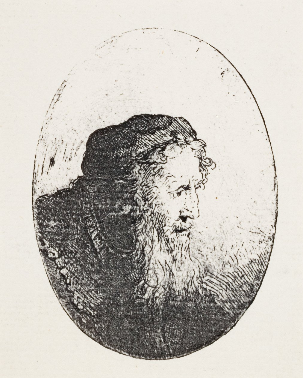 Viejo barbudo, c.1644-46 de Ferdinand Bol