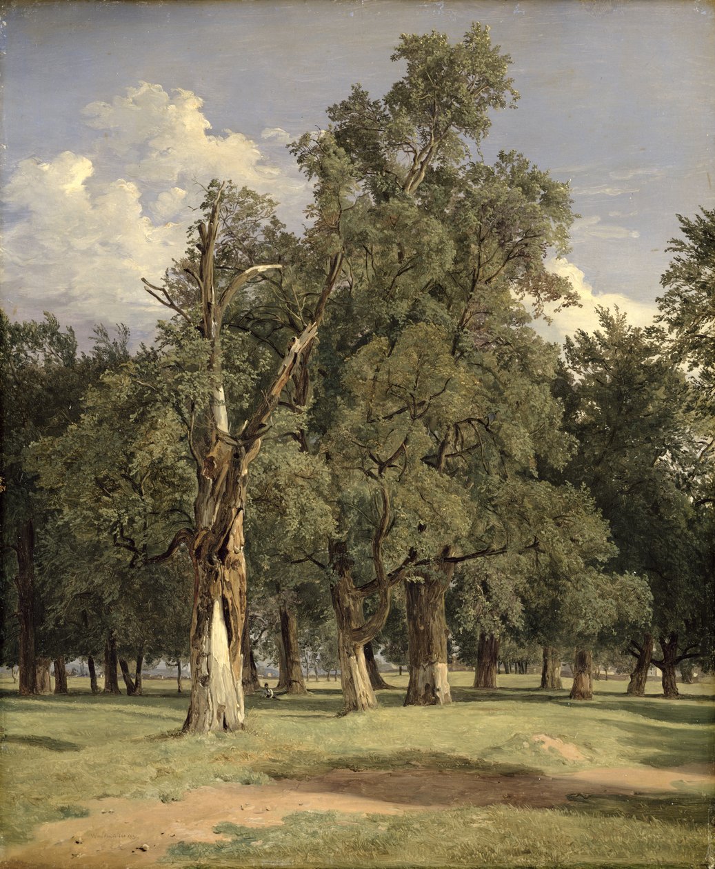 Olmos en Prater de Ferdinand Georg Waldmuller