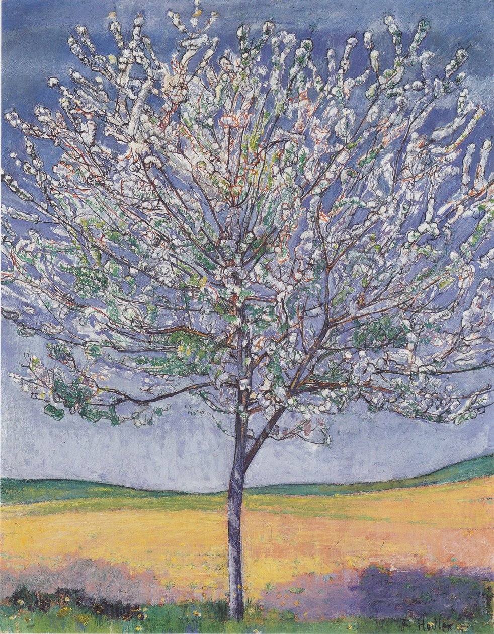 Cerezo en flor de Ferdinand Hodler