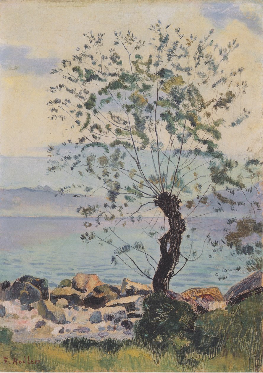 Sauce en el lago de Ferdinand Hodler