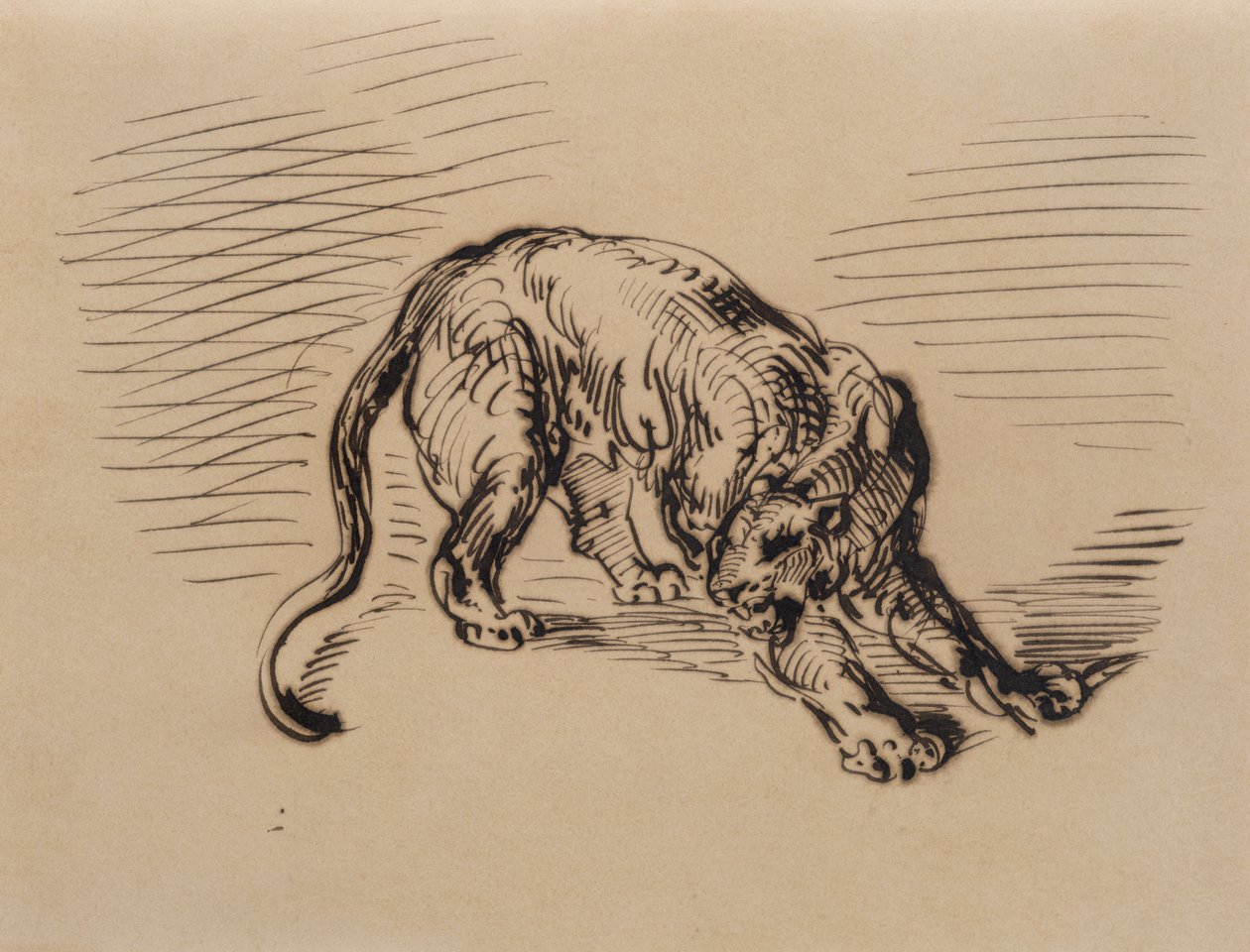 Tigre asustado por una serpiente, 1858 de Ferdinand Victor Eugene Delacroix