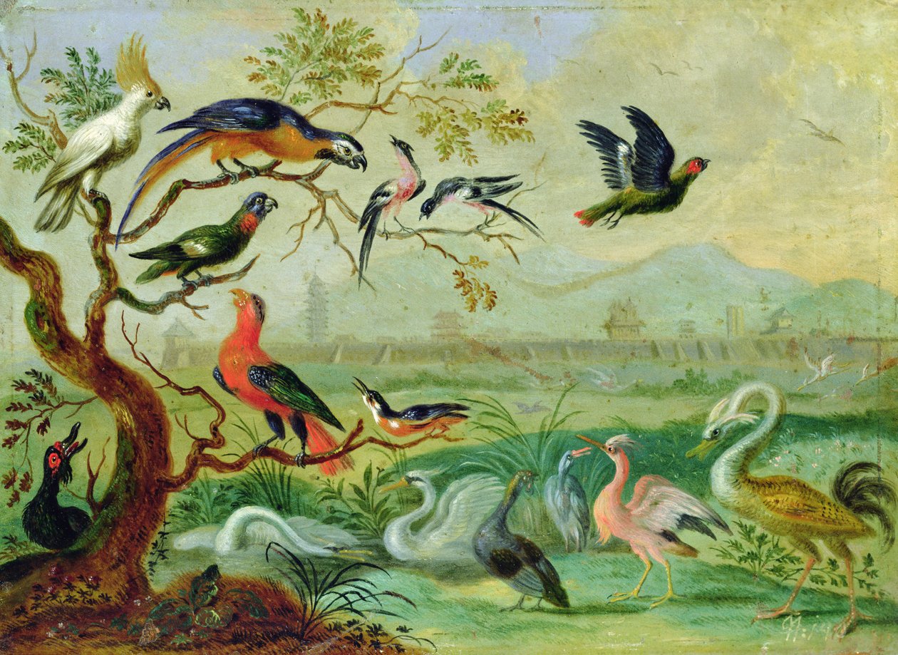 Aves de los cuatro continentes en un paisaje con vista de Pekín en el fondo de Ferdinand van Kessel