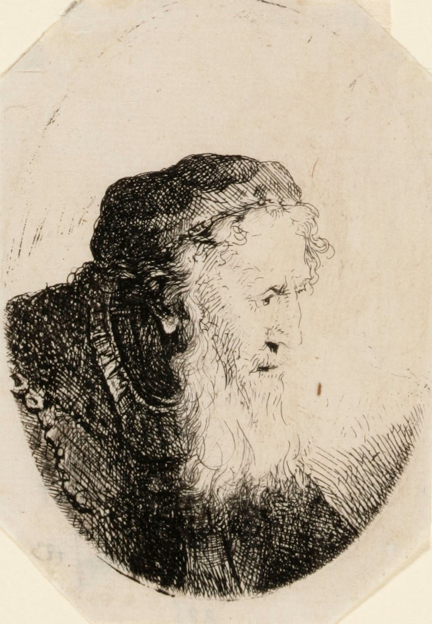 Anciano con barba ondulante de Ferdinand Bol