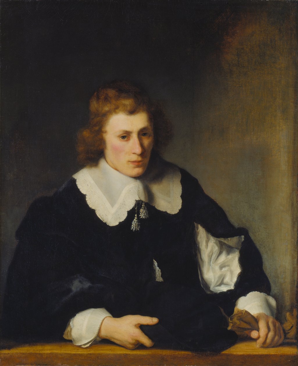 Retrato de un joven de Ferdinand Bol