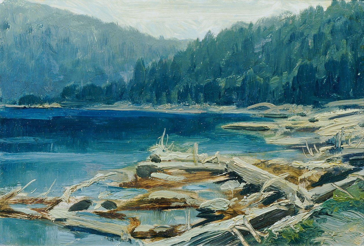 Šumava (del portafolio "16 vistas de paisajes checos 