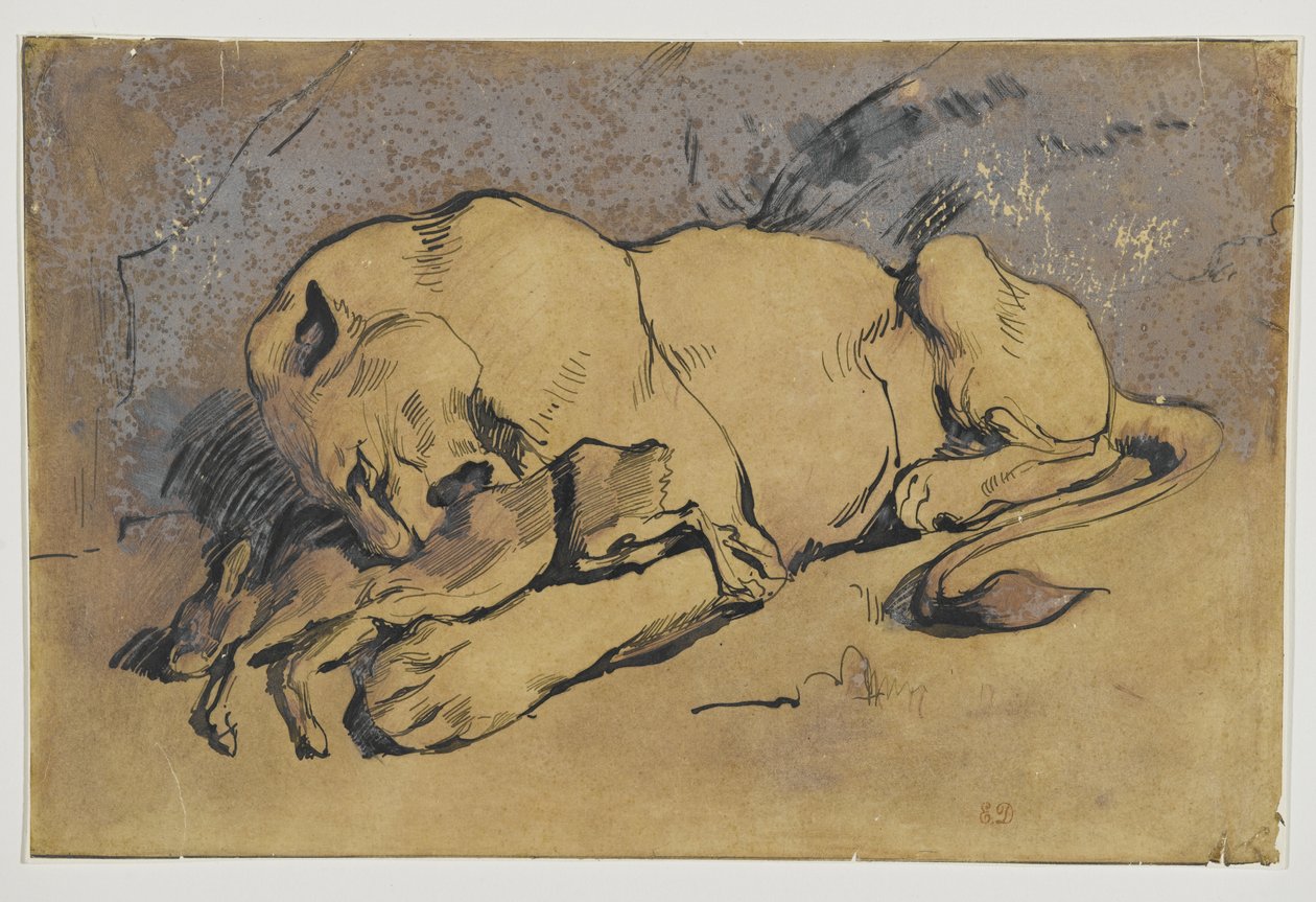 Leona devorando un conejo de Ferdinand Victor Eugene Delacroix
