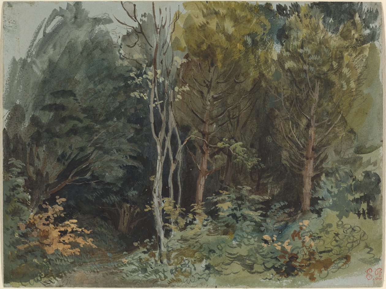 El borde de un bosque en Nohant, c. 1842-1843 (acuarela) de Ferdinand Victor Eugene Delacroix