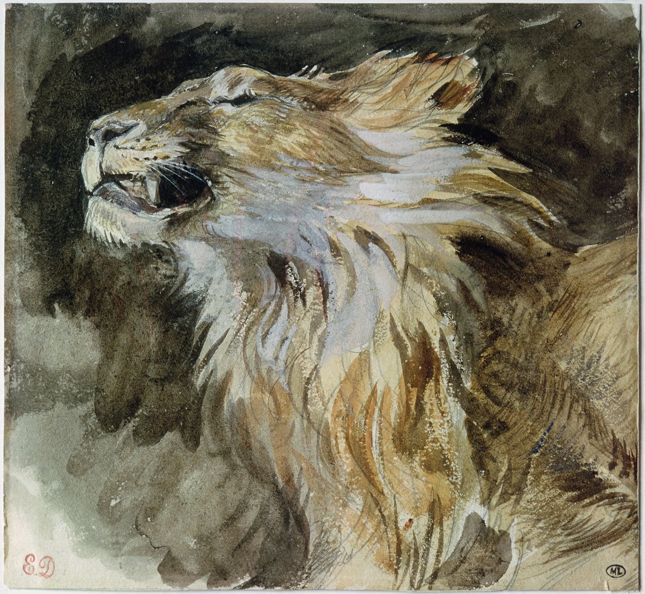 La cabeza de un león de Ferdinand Victor Eugene Delacroix