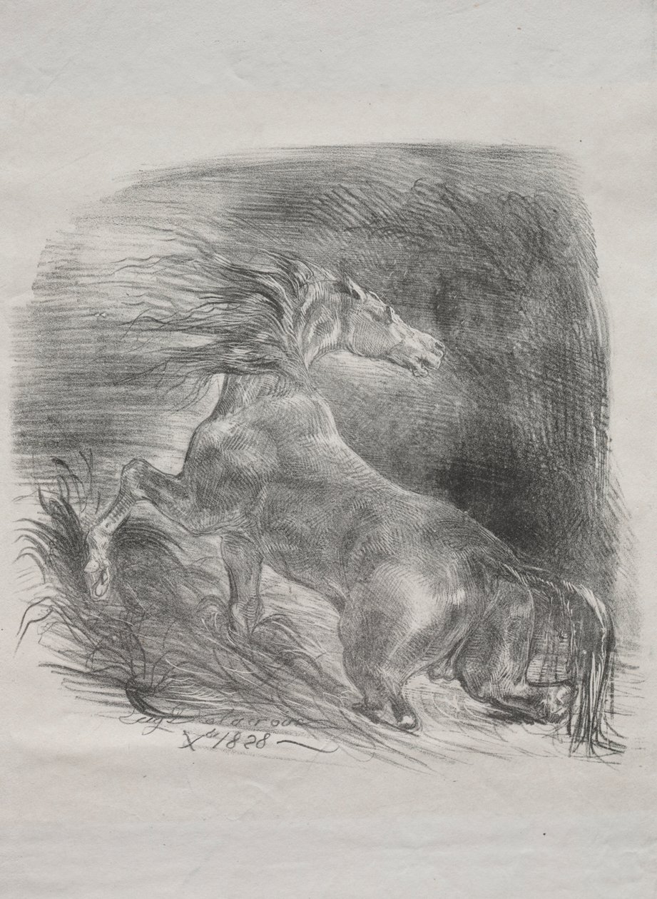 El Caballo Salvaje, o Caballo Asustado Saliendo del Agua, 1828 de Ferdinand Victor Eugene Delacroix