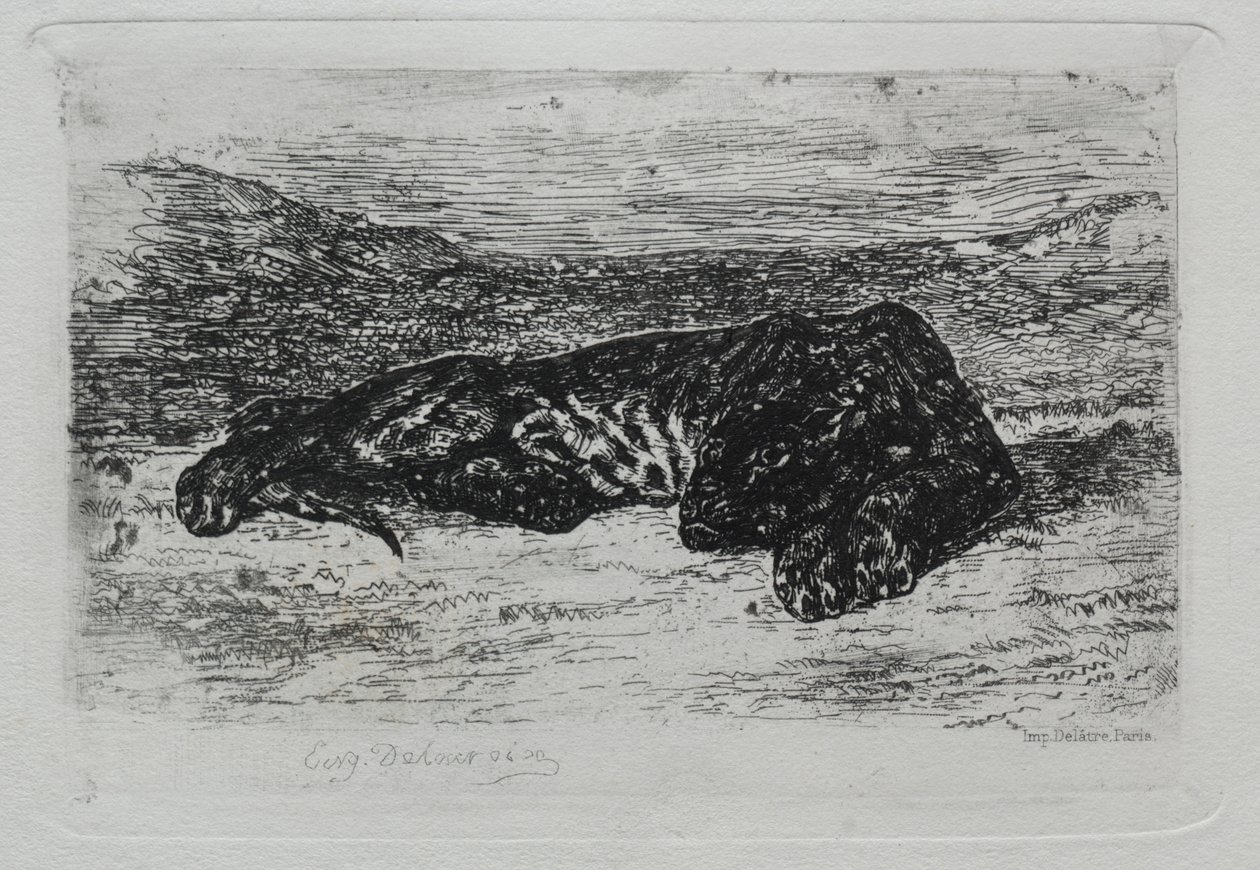 Tigre acostado en el desierto de Ferdinand Victor Eugene Delacroix