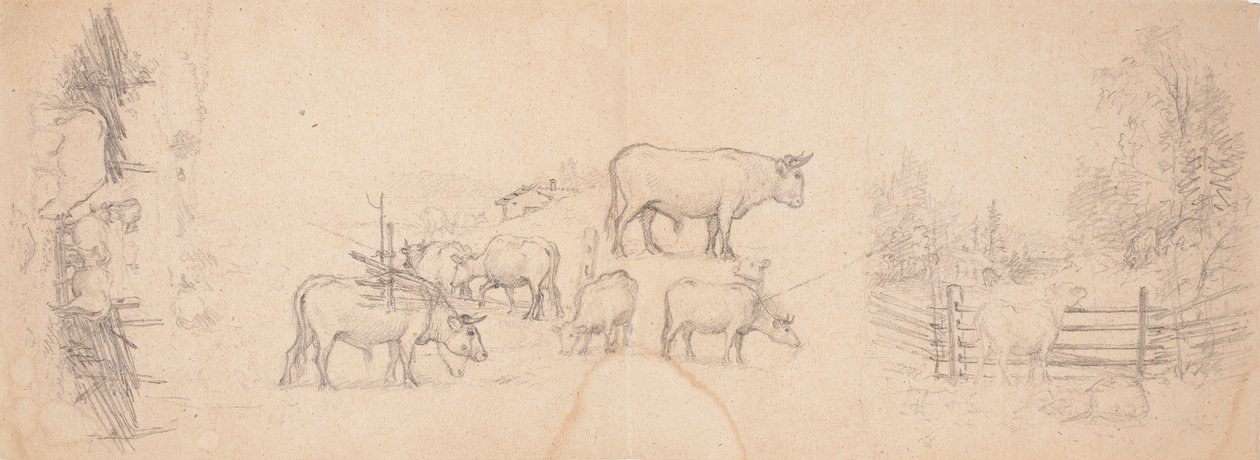 Varios esbozos de vacas y toros de Ferdinand von Wright