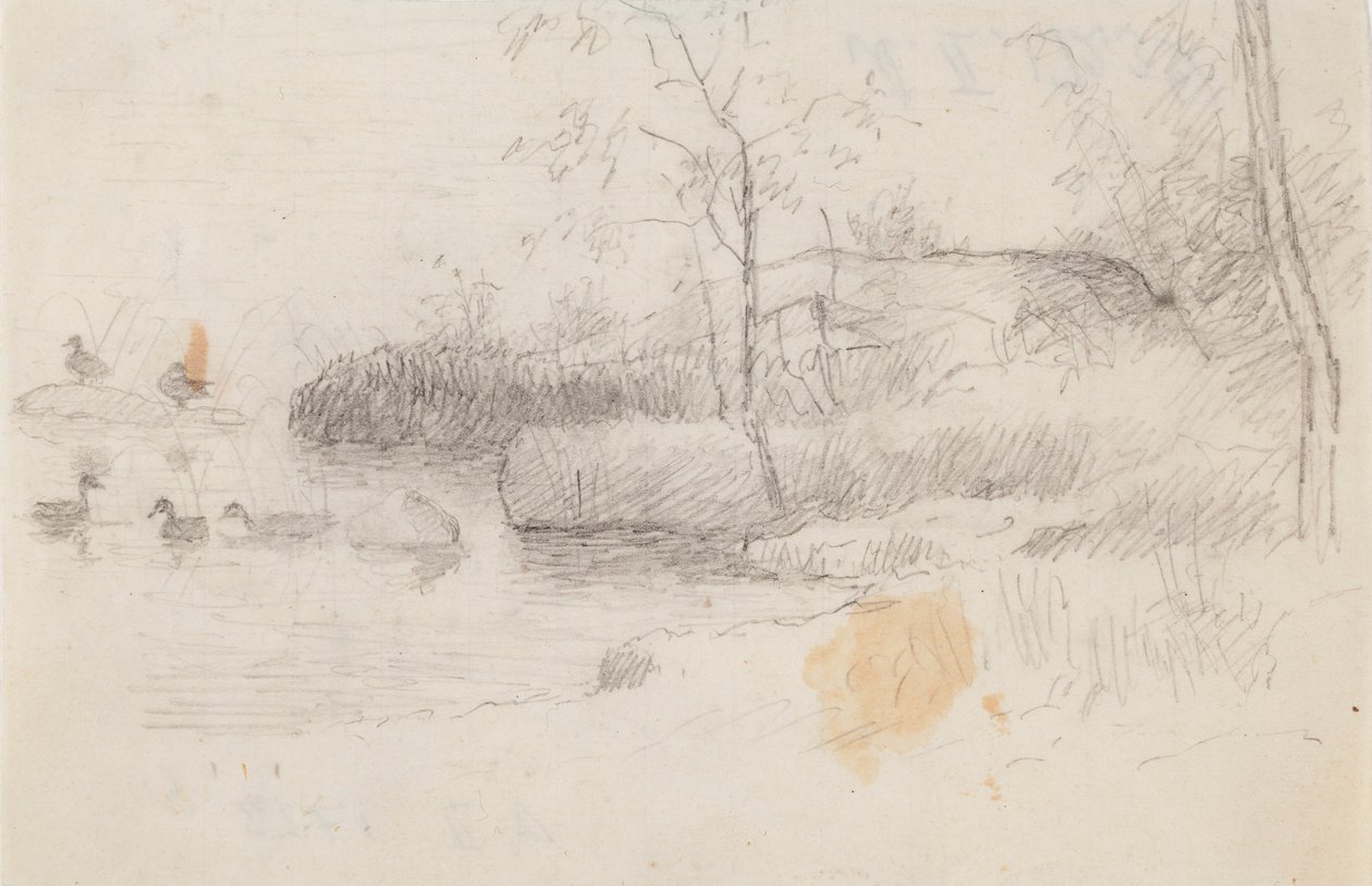 Paisaje con patos de Ferdinand von Wright