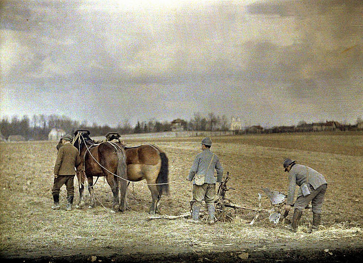 Un agricultor y dos soldados franceses arando con dos caballos, Marne, Francia, 1917 de Fernand Cuville