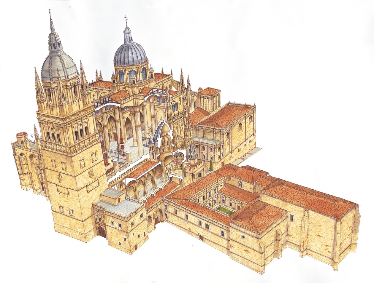 Catedral de Salamanca, España de Fernando Aznar Cenamor
