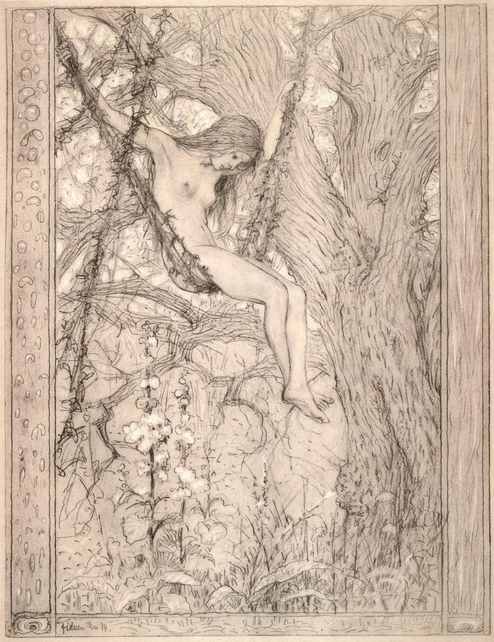 Columpio de lianas de Fidus