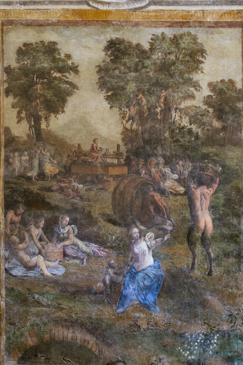 "Cosecha", detalle del Camerino dei Baccanali (fresco) de Filippino (and workshop) Lippi